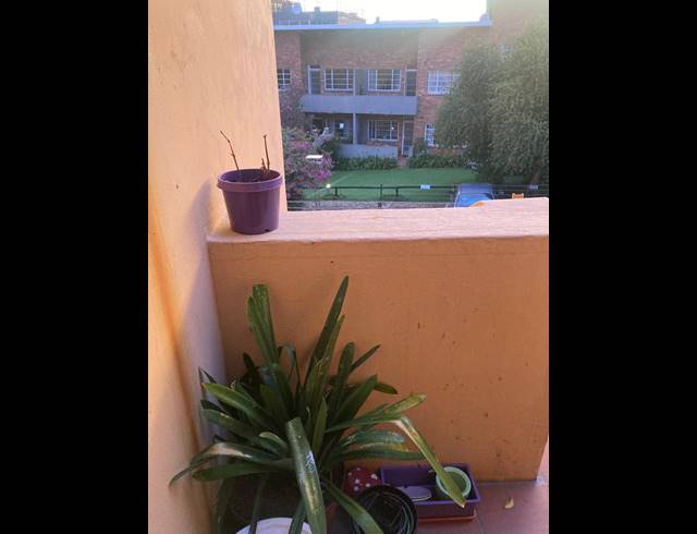 2 bed property to rent in LINDEN